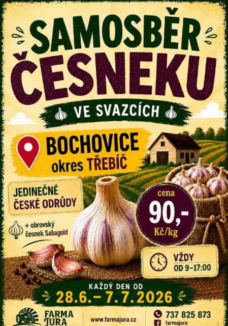 Samosběr česneku.jpg